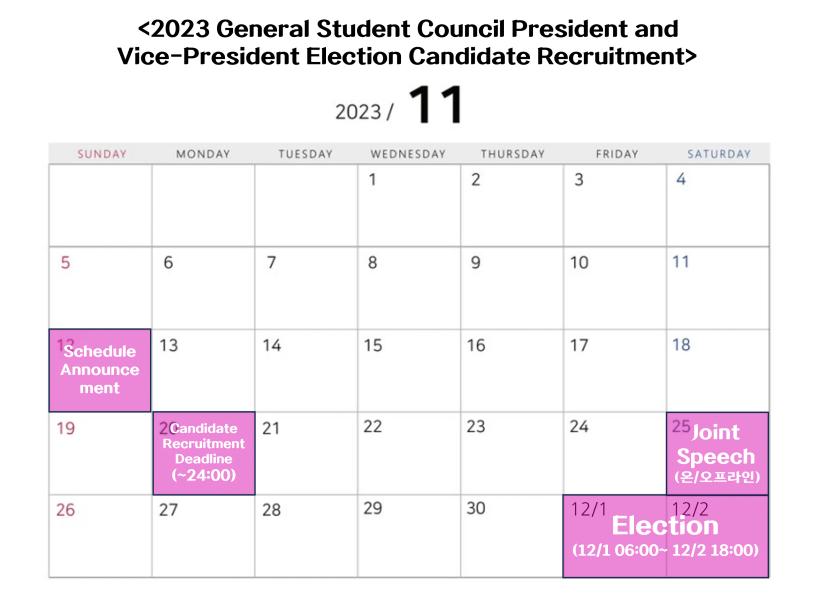 2023 Election Candidate Recruitment ⭐