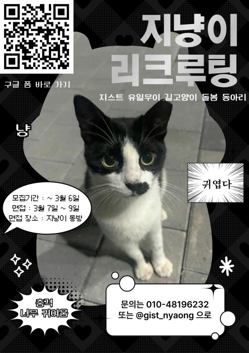 2025년도 1학기 지냥이 신입부원 모집