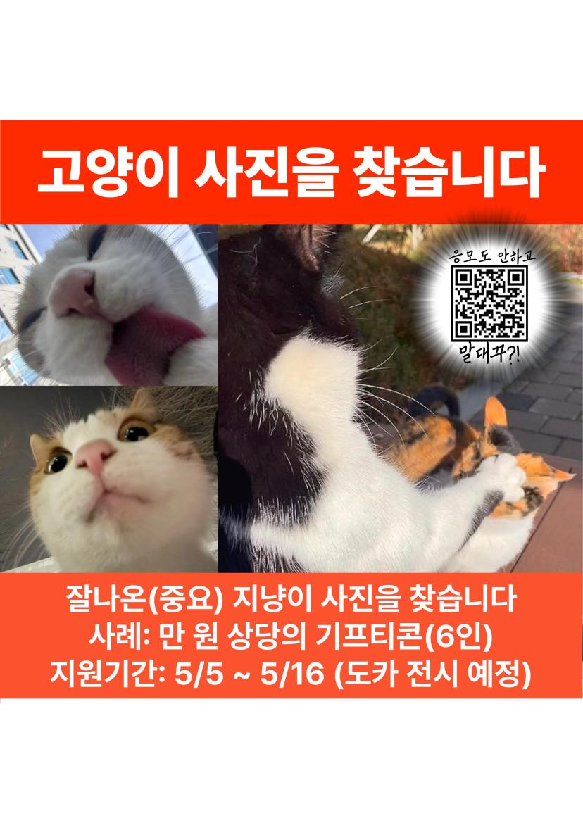 πΈ μ§λ₯μ΄ κ³ μμ΄ μ¬μ§μ (μμ ) (~05/16)πΈ